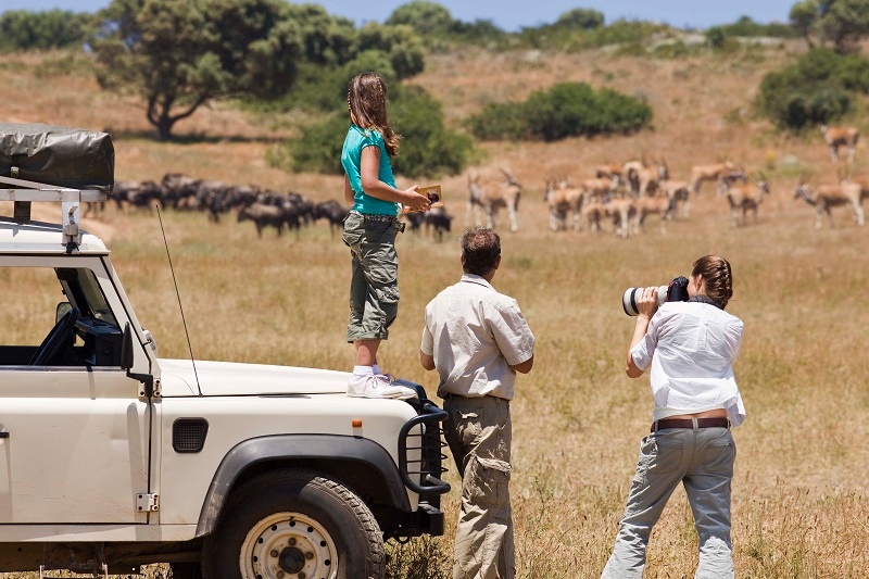 Safari family sm.jpg